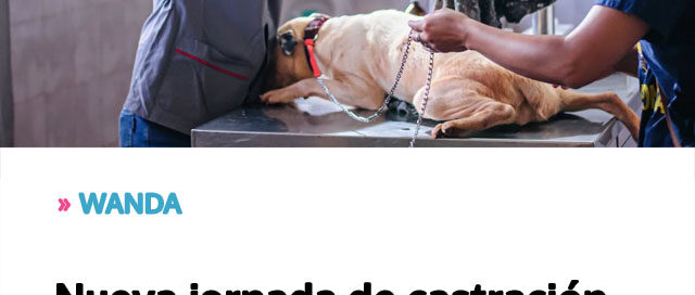 WANDA: Nueva jornada de castración para mascotas