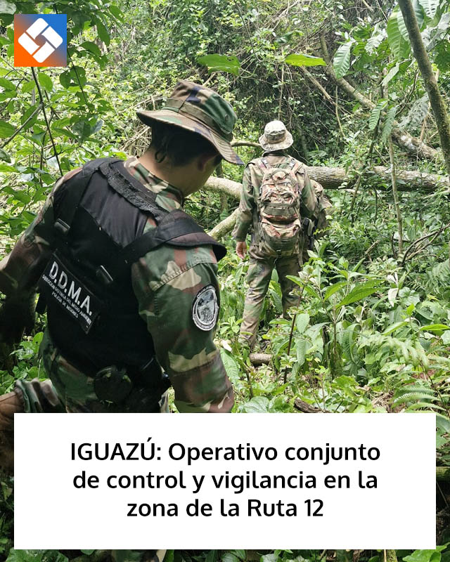 IGUAZÚ: Operativo conjunto de control y vigilancia en la zona de la Ruta 12