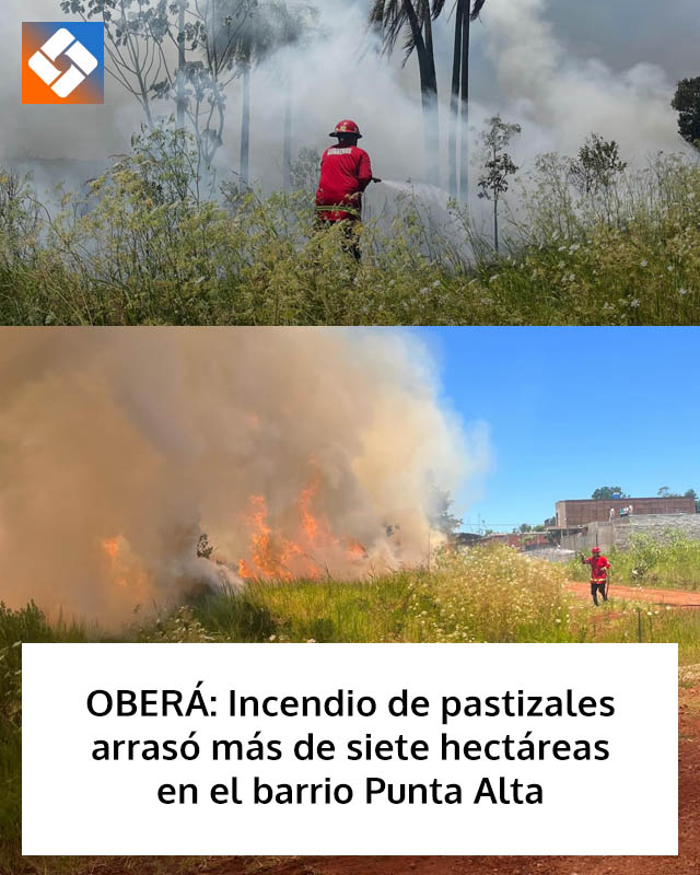 OBERÁ: Incendio de pastizales arrasó más de siete hectáreas en el barrio Punta Alta