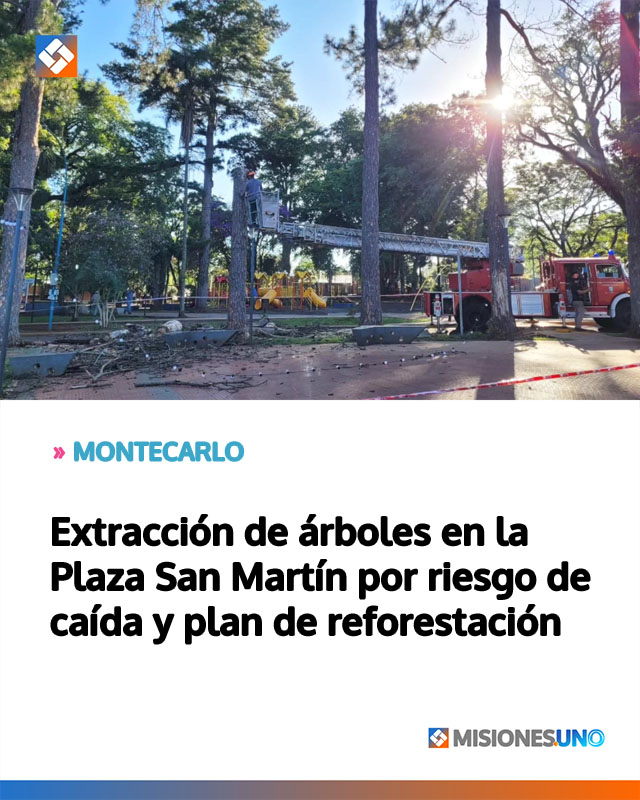 MONTECARLO: Extracción de árboles en la Plaza San Martín por riesgo de caída y plan de reforestación