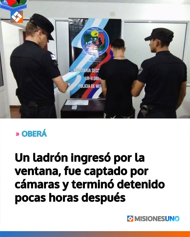 Un ladrón ingresó por la ventana, fue captado por cámaras y terminó detenido pocas horas después