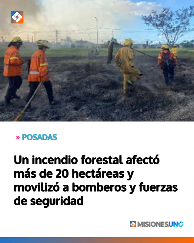 Un incendio forestal afectó más de 20 hectáreas y movilizó a bomberos y fuerzas de seguridad