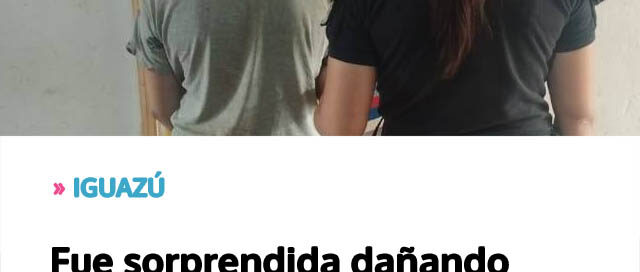 Fue sorprendida dañando autos y motos estacionados y terminó detenida