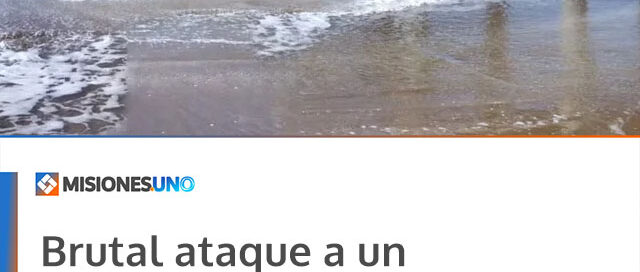 Brutal ataque a un adolescente: sufrió una golpiza y permanece en grave estado con un hematoma cerebral