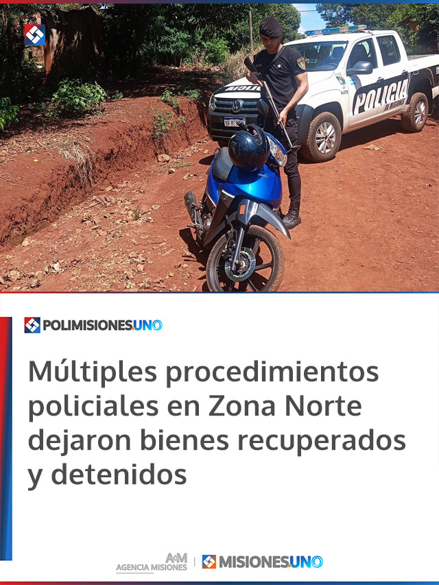 Múltiples procedimientos policiales en Zona Norte dejaron bienes recuperados y detenidos