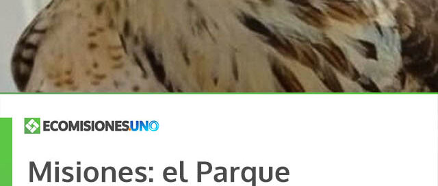 Misiones: el Parque Ecológico El Puma fortalece la rehabilitación de fauna y llama a la responsabilidad